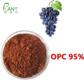 Polvo de extracto de semilla de uva antioxidante natural OPC